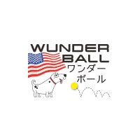 ワンダーボール