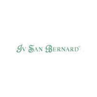 Iv San Bernard